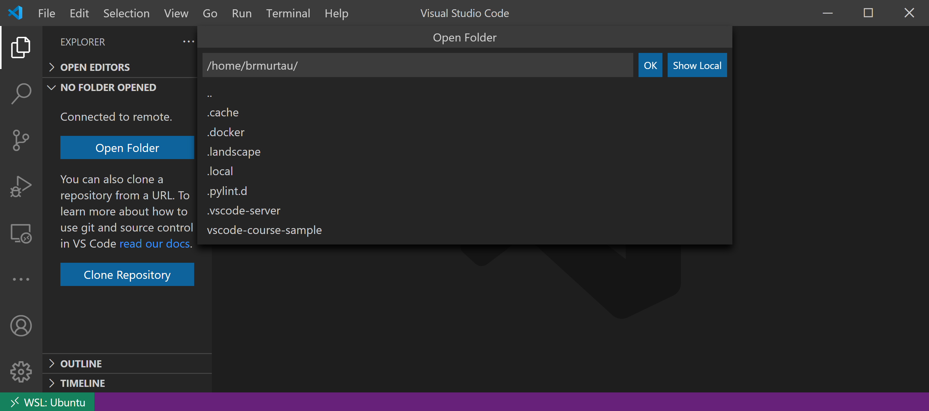 VS Code connected to WSL